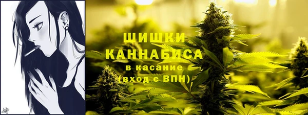 a pvp Абаза